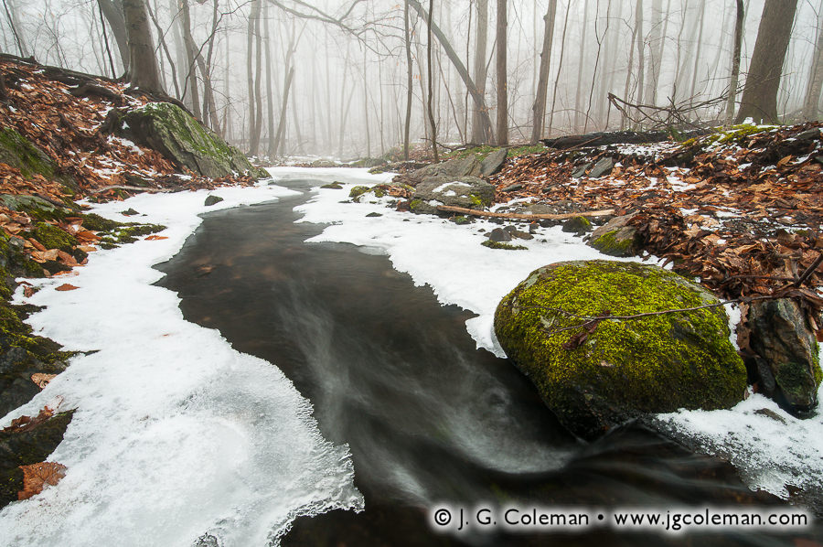 Woodbridge Mist (Unnamed branch of Wepawaug River, Alice Newton Street Memorial Park, Woodbridge, Connecticut)