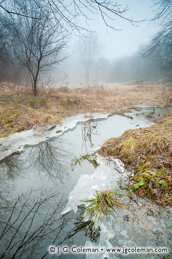 Two Mile Solitude (Two Mile Brook, Ansonia Nature Center, Ansonia, Connecticut)