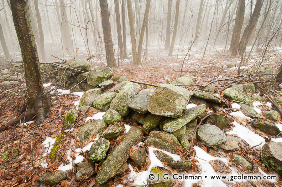 Memories in Stone (Old Fieldstone Wall, Ansonia Nature Center, Ansonia, Connecticut)