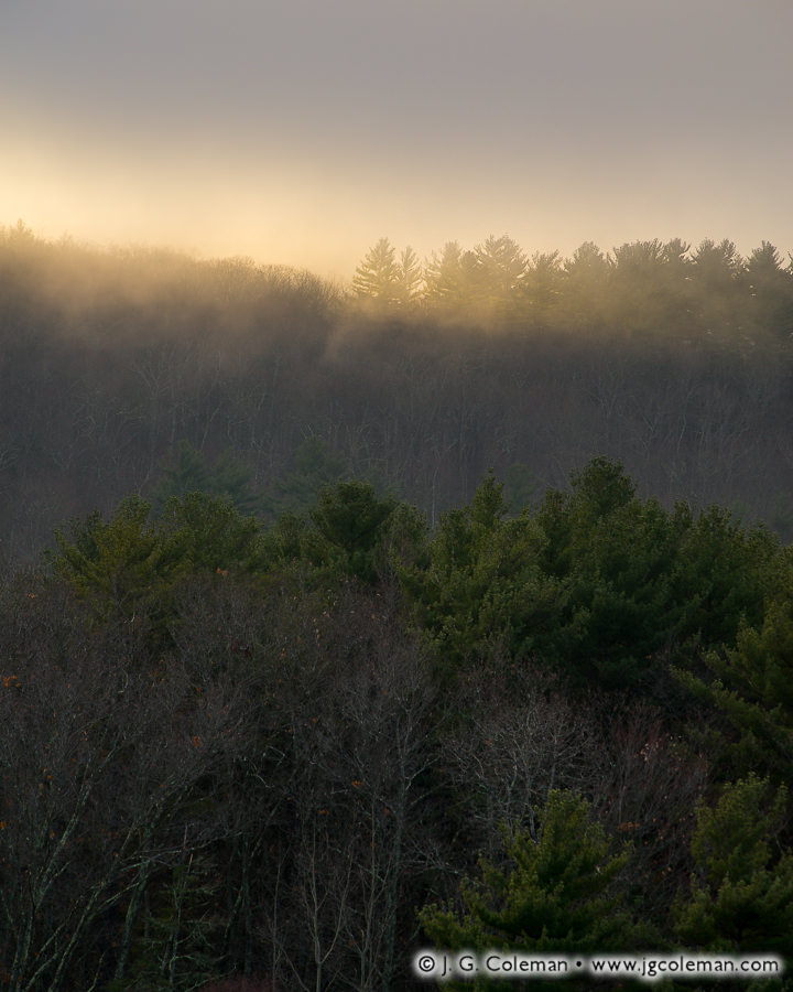 Kindling the Hills (Hills beside Barkhamsted Reservoir, Barkhamsted, Connecticut)