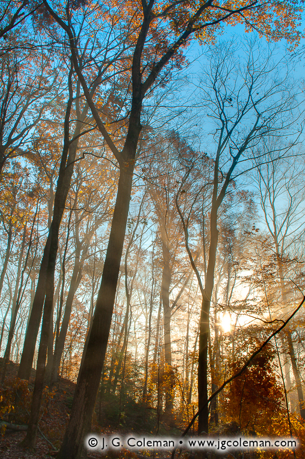 Autumn Dawn at Blackledge (Blackledge Falls Park, Glastonbury, Connecticut)