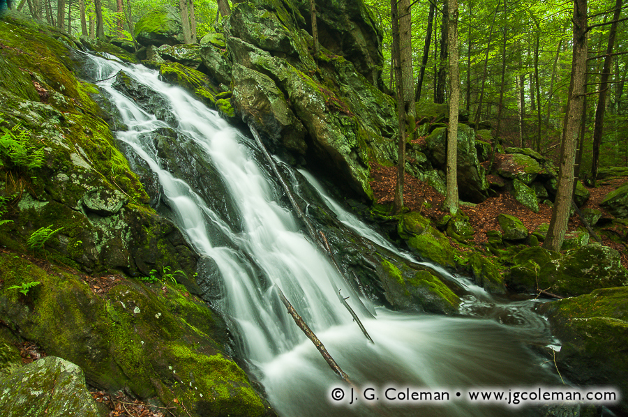 Plymouth Wildlands (Buttermilk Falls, Buttermilk Falls Preserve, Plymouth, Connecticut)