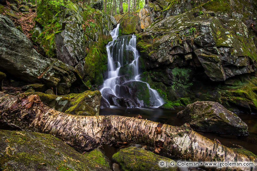 Deadwood at Goldmine (Goldmine Brook Falls, Chester, Massachusetts)