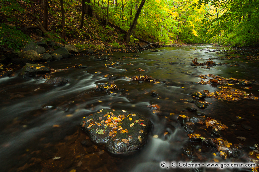 The Brook Remembers (Roaring Brook at Cotton Hollow Preserve, Glastonbury, Connecticut)