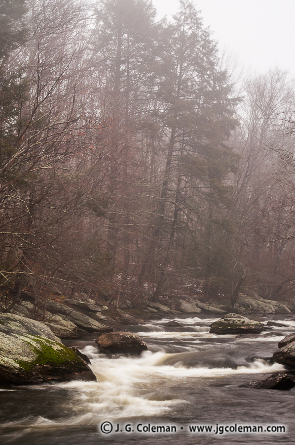 Natchaug Mist (Natchaug River, Chaplin, Connecticut)