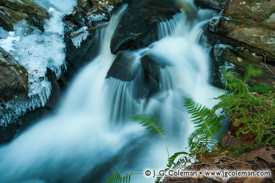 Ice and Ferns (Enders Falls, Enders State Forest, Granby, Connecticut)