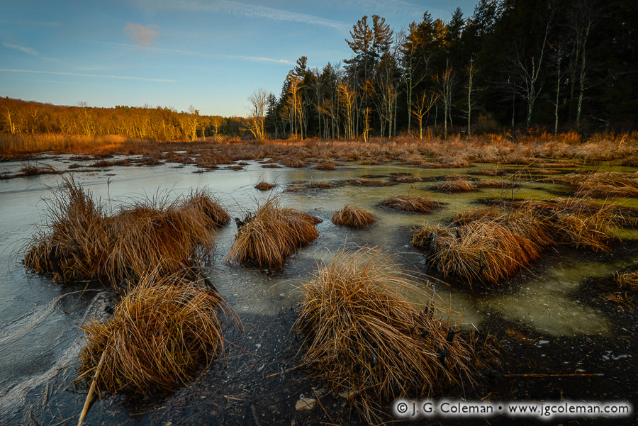 Enders Frozen Cradle (Hoyt Hayes Swamp, Enders State Forest, Barkhamsted, Connecticut)