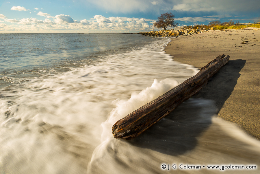 Driftwood Surge (Long Island Sound at Harkness Memorial State Park, Waterford, Connecticut)