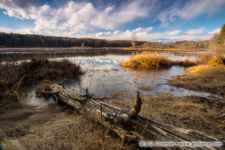 "Contemplating Massacoe" (Great Pond at Massacoe State Forest, Simsbury, Connecticut)