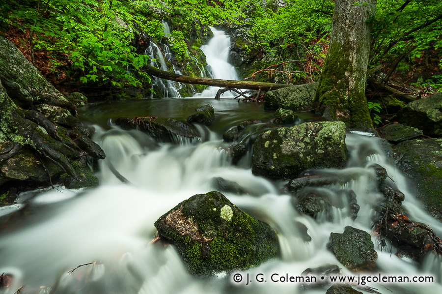 Havemeyer Fallscape (Havemeyer Falls, Mianus River Gorge Preserve, Bedford, New York)