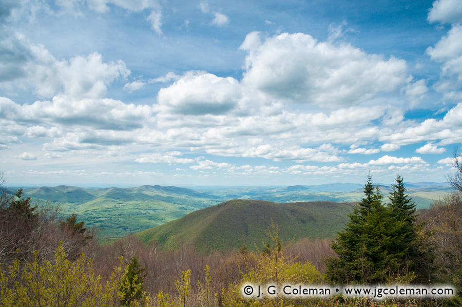 Greylock Vista (Mount Greylock State Reservation, Adams, MA)