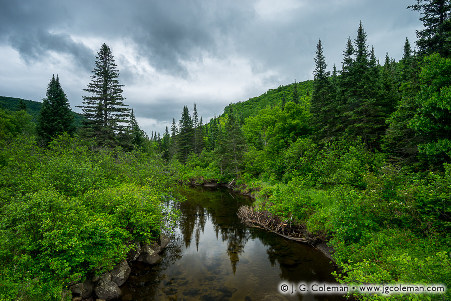 Salvelinus Sanctuary (Pherrins River, Morgan, Vermont)
