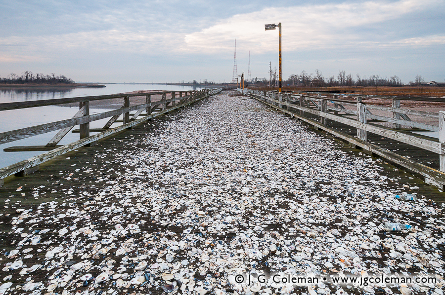 Dominion of the Gulls (Pleasure Beach on Long Beach Peninsula, Bridgeport, Connecticut)