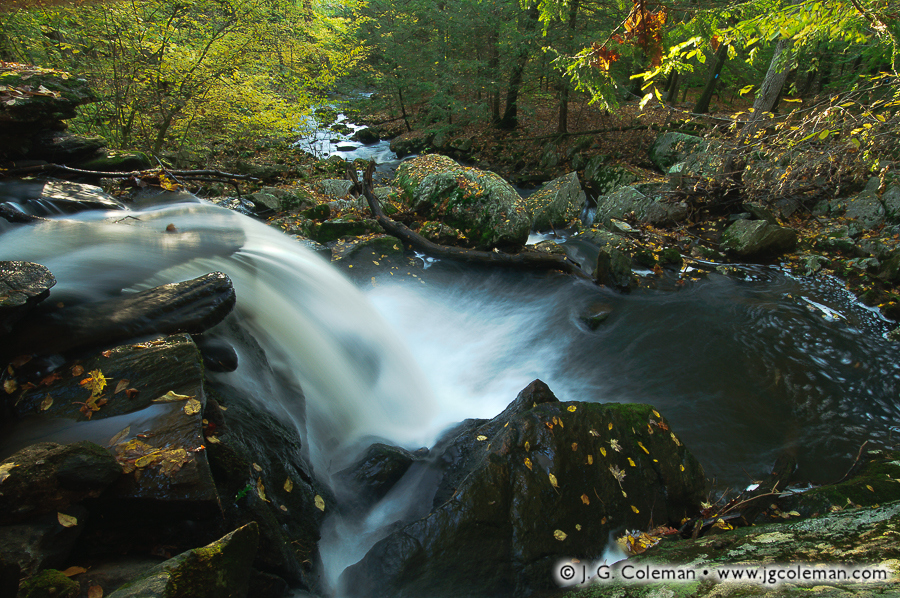 Roaring Brook Nature Center 03