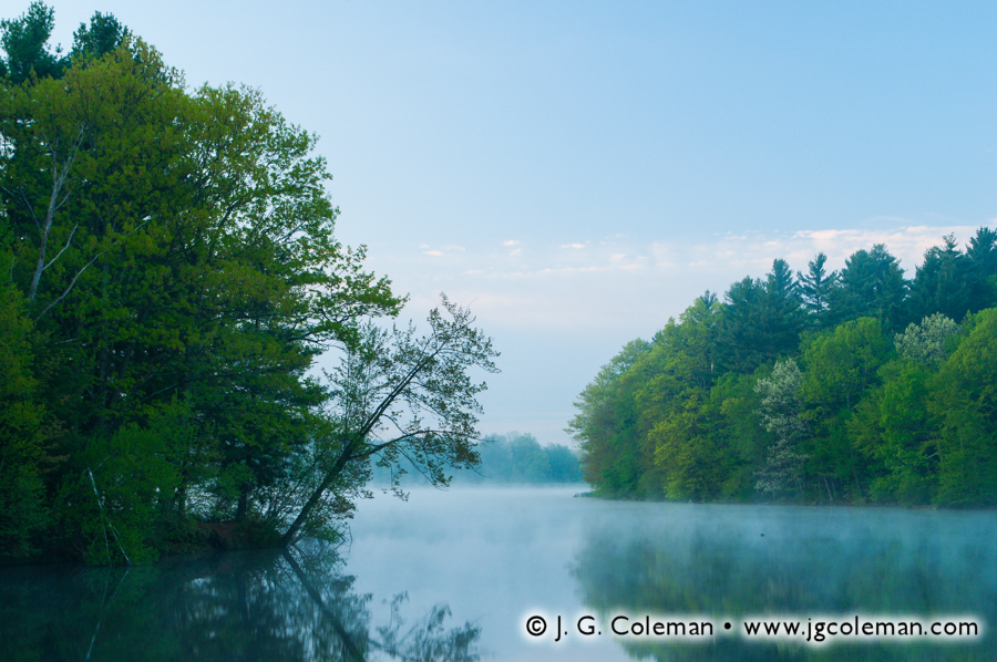 Woodtick Quietude (Scovill Reservoir, Wolcott, CT)
