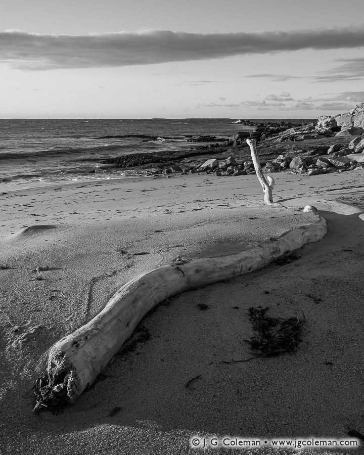 Sand Serpent (Seaside State Park, Waterford, Connecticut)