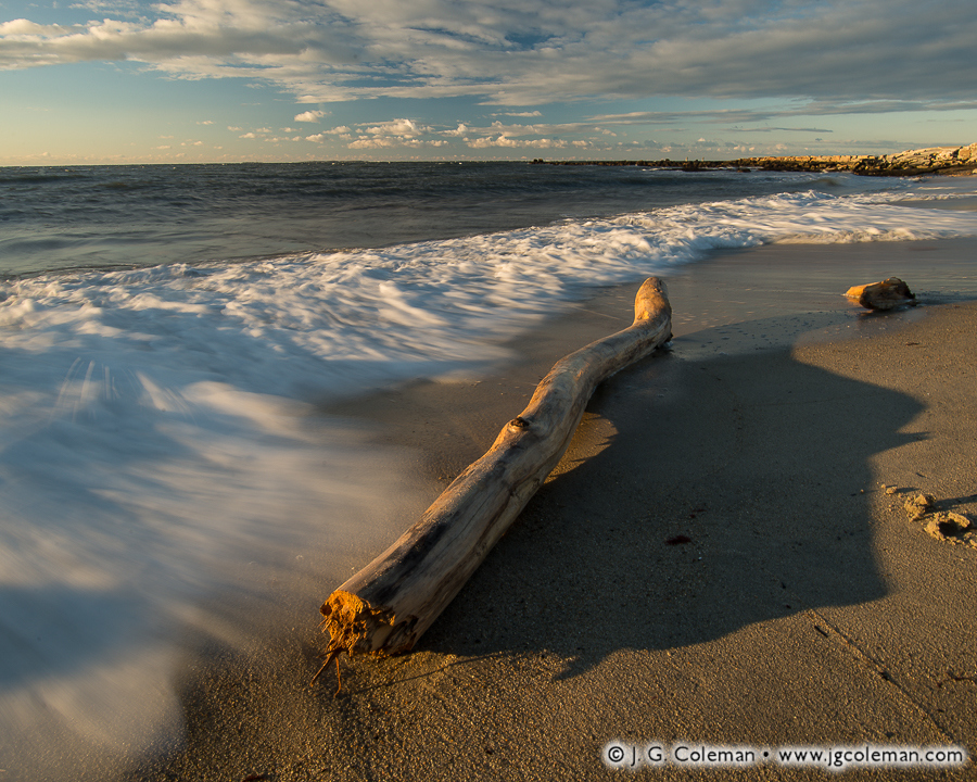 Driftwood Umbra (Long Island Sound at Seaside State Park, Waterford, Connecticut)
