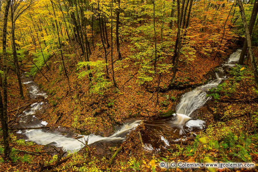 A Serpent Awakened (Gorge Cascade Falls, Sleeping Giant State Park, Hamden, Connecticut)