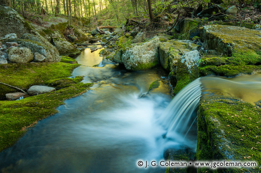 Falls Brook Awakening (Falls Brook, Tunxis State Forest, Hartland, CT)