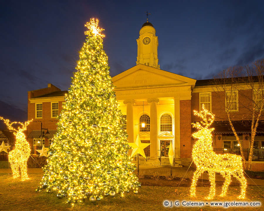 Christmas Lights at West Hartford, 2017 (Christmas Tree at West Hartford Town Hall, West Hartford, Connecticut)