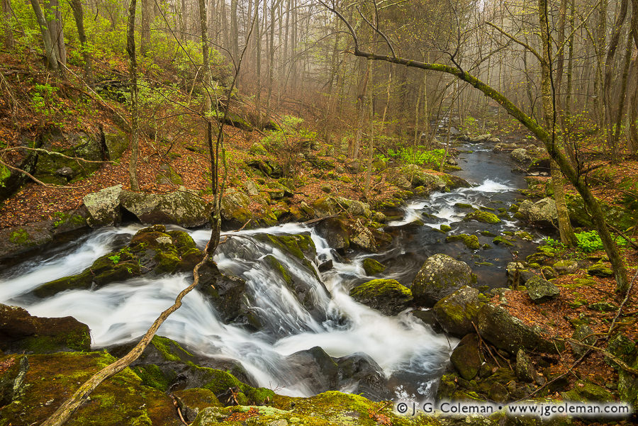 Whigville, April's End (Whigville Falls, Burlington, Connecticut)