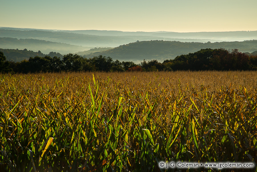 Yankee Farmlands № 86 (Roxbury, Connecticut)