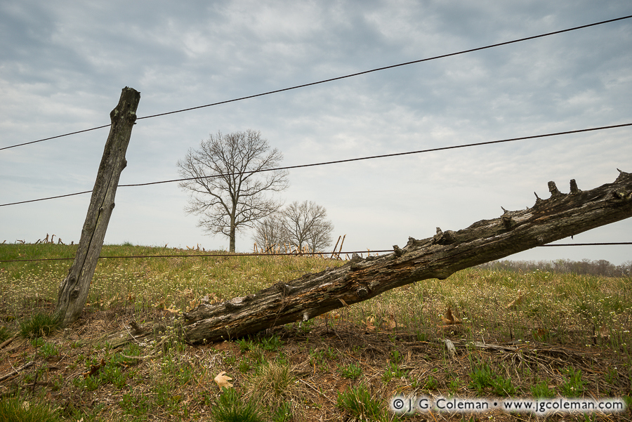 Yankee Farmlands № 63