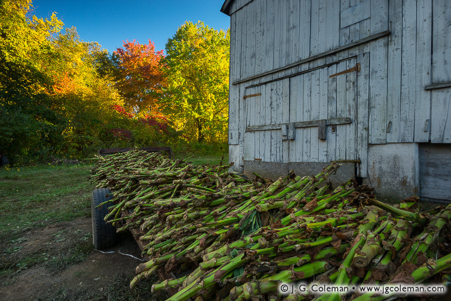 "Yankee Farmlands № 87" (Tobacco shed in Windsor, Connecticut)