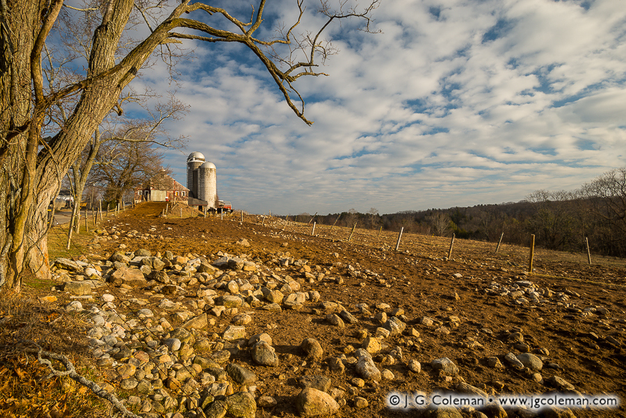 Yankee Farmlands № 51 (Dairy farm, Torrington, Connecticut)