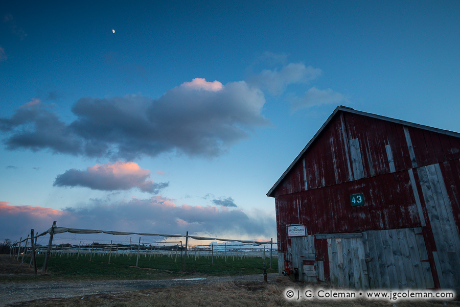 Yankee Farmlands № 52 (Shade tobacco farm, Windsor, Connecticut)