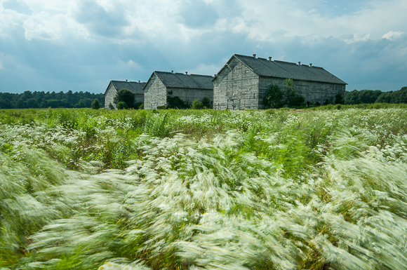 A Breeze in Tobacco Valley (Old tobacco sheds, Simsbury, Connecticut)
